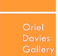 Oriel Davies Gallery