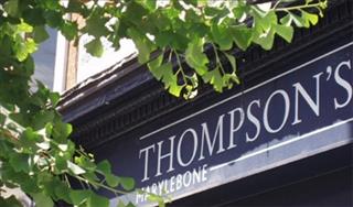 Thompson's Gallery