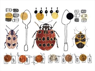 AbeySmallcombe - Museum of Earthly Delights
