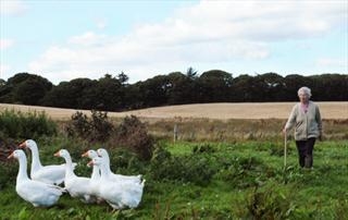 Alicia Bruce - Menie: a portrait of a North-East coastal community in conflict