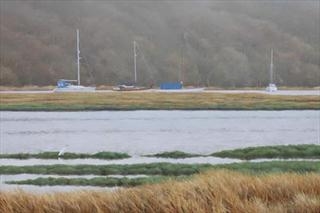 Andrew Stock in the New Forest - From Copse to Coast