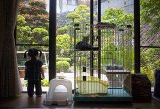 At Home in Japan - Beyond the Minimal House