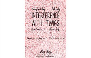 Audrey Capel Doray / Lotte Gertz / Hanna Sandin / Nicolas Party - Interference with twigs