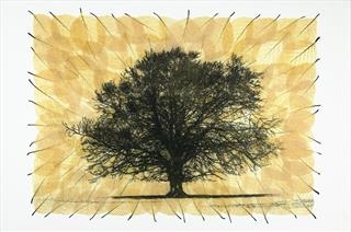 Buckmaster-French - The St Ives Society of Artists and the Arborealists