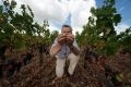 Colin Hampden-White - The Greatest Winemakers