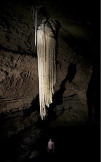 Dorothy Cross - Stalactite