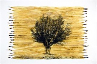 Emma Buckmaster - East Anglian Arborealists