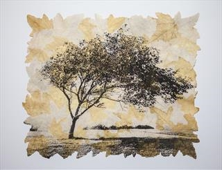 Emma Buckmaster - The Arborealists   The Art of the Tree