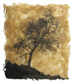 Emma Buckmaster - The Narrative of Trees