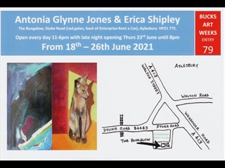 Erica Shipley - Bucks Art Society Open Studio