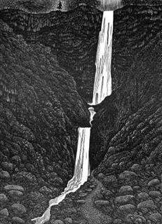 Hilary Paynter - Wood Engravings