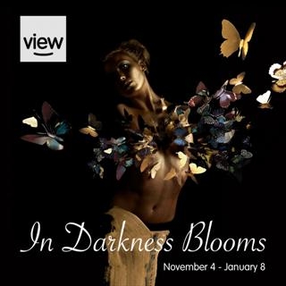 In Darkness Blooms