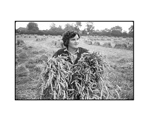 James Ravilious - Reflecting the Rural