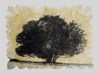 Janet French - Into the Woods