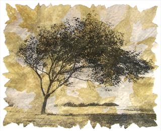 Janet French - 'Memory' - The Printmakers Council