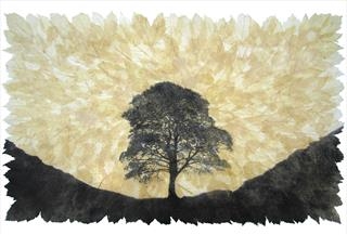 Janet French - The Arborealists - Trees and The Sacred