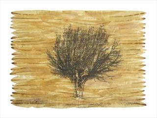 Janet French - The Art of the Tree by Arborealists - East