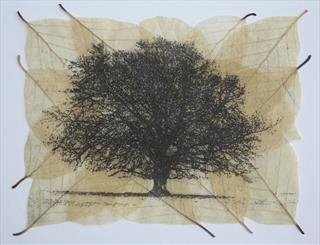 Janet French - The Narrative of Trees