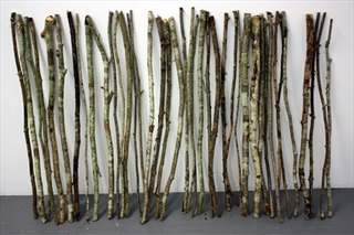 Karen Pearson - A journey with 40 sticks