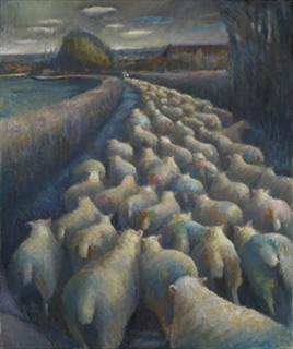 Kate Lynch & Alastair Goolden - Sheep – from Lamb to Loom