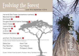 Kevin Tole - Evolving the Forest