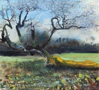 Kurt Jackson - The Trees of Cornwall