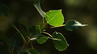 Martin Beck - Nothing better than a touch of ecology and catastrophe to unite the social class