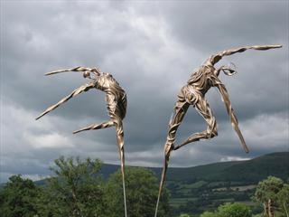 Penny Hardy - RHS ROSEMOOR GARDEN, Great Torrington, North Devon