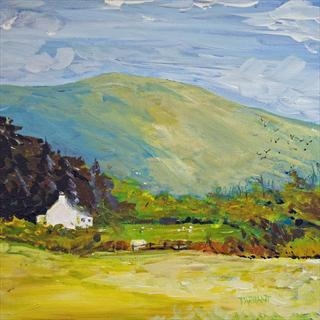 Peter Tarrant - Shoreline Studio - Spring Exhibition