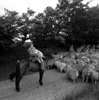 Reece Winstone - Vanishing Lives / Bristol and Somerset