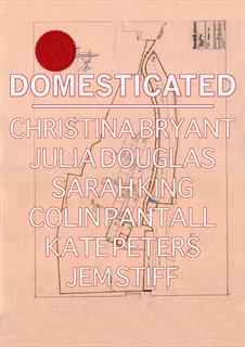 Sarah King - DOMESTICATED