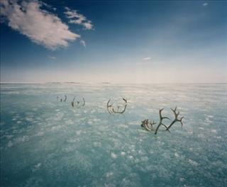 Scarlett Hooft Graafland - You Winter