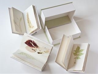 Susan Deakin - Unfold - Contemporary Artists' Books and Book Designs