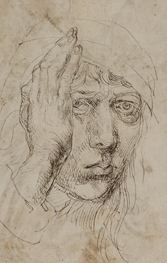 The Young Durer - Drawing the Figure