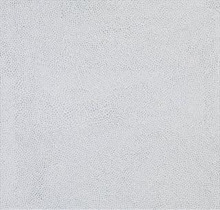 Yayoi Kusama - White Infinity Nets