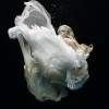 Zena Holloway - Swan Song: a solo show