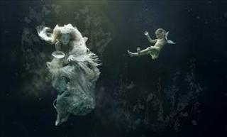 Zena Holloway - Zena Holloway at Horne & Harvey